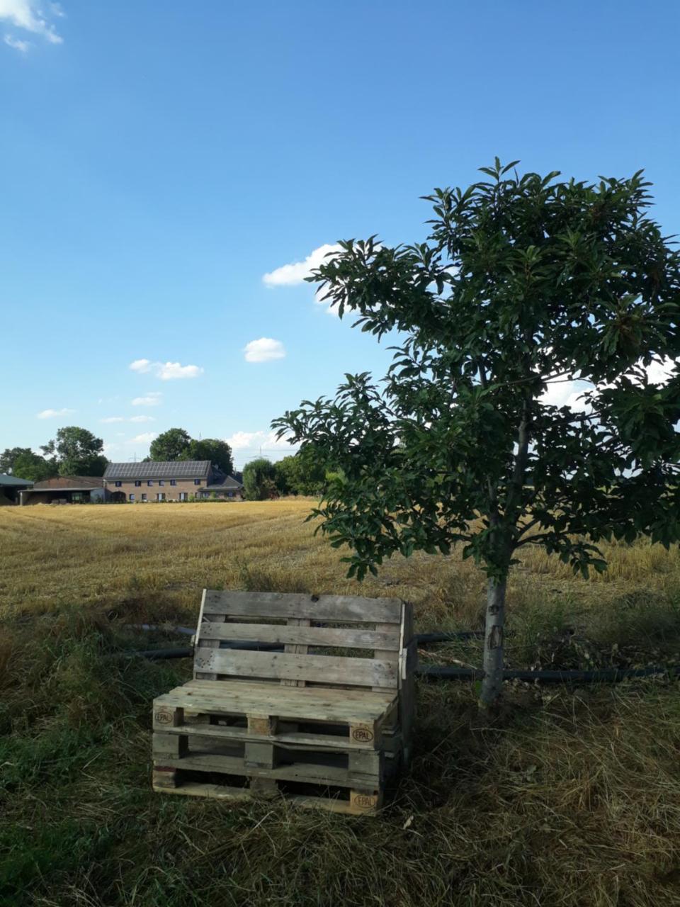 Bingers Kleine Scheune Willich Exterior foto